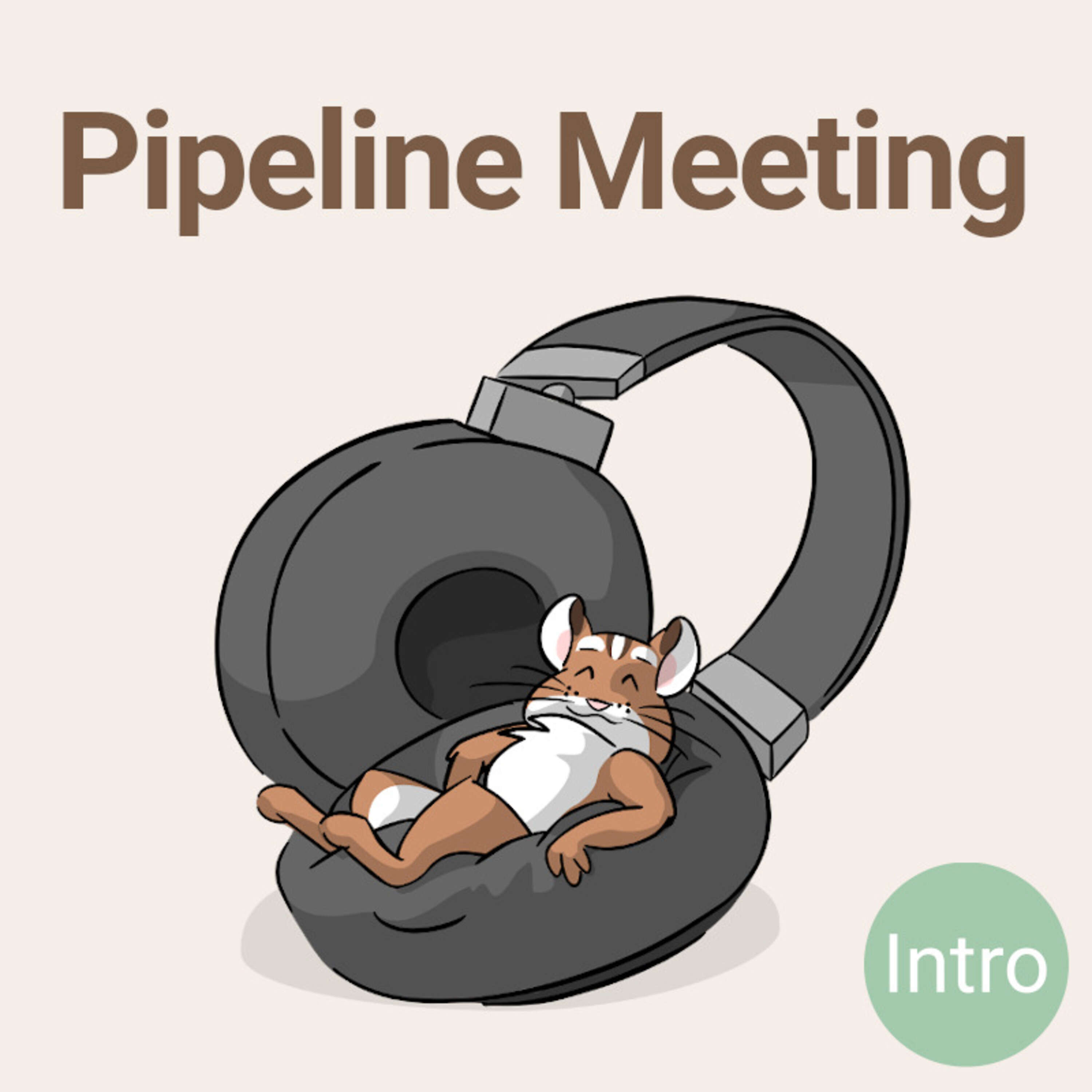 Pipeline Meeting